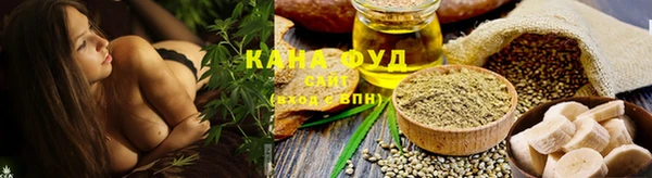 гидра Богородск
