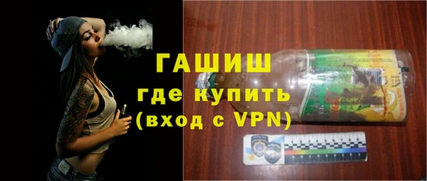 гидра Богородск