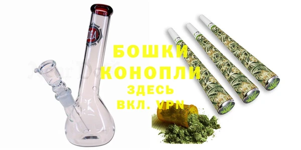 дживик Богданович