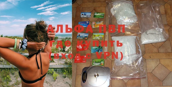 гидра Богородск