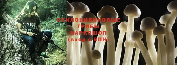меф Белокуриха