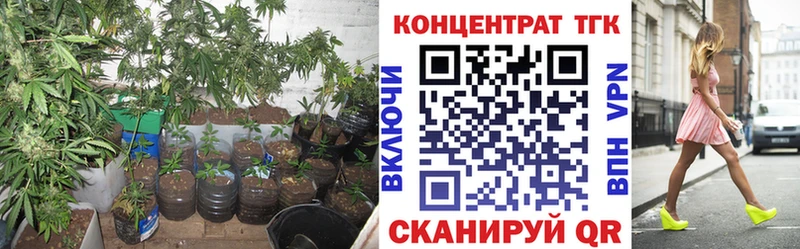 ТГК Wax  Конаково 